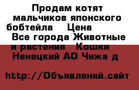 Продам котят мальчиков японского бобтейла. › Цена ­ 30 000 - Все города Животные и растения » Кошки   . Ненецкий АО,Чижа д.